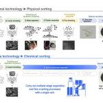 honda clasificación química de plásticos