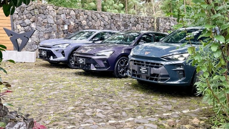 Cupra Leon Formentor Terramar
