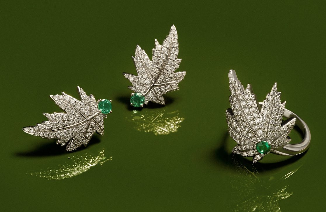 Suárez Joyas: Colección Arce